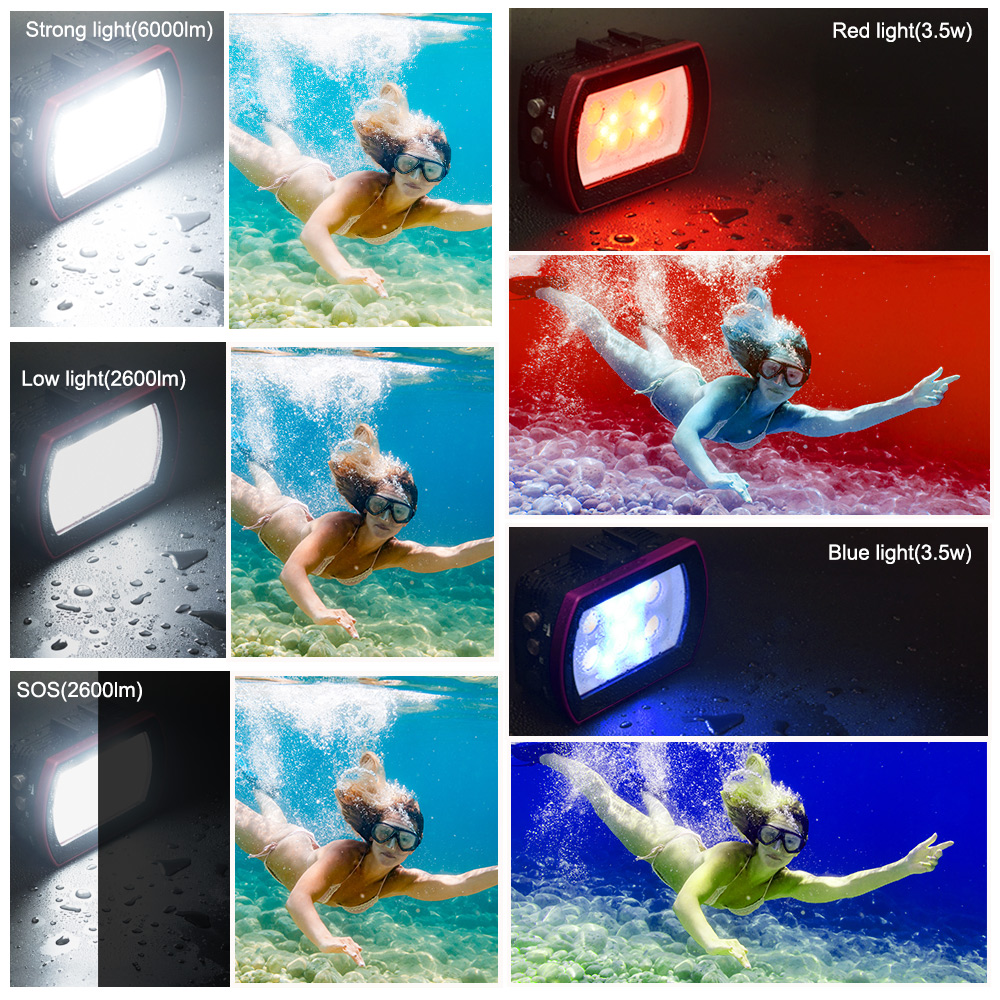 Seachogs Aluminium LED Lampu S - Photography Lighting Brand ulasan dan harga